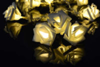 Dekorační LED osvětlení - růže - 20 LED, teplá bílá